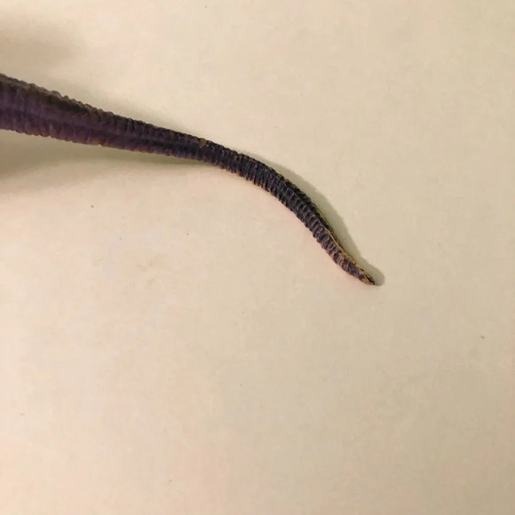 Vintage Larami Tyrannosaurus Rex Dinosaur Figure Toy - Picture 8 of 16